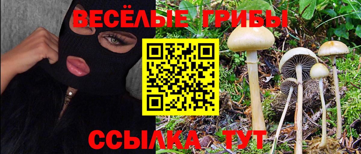 Арзамас  Галлюциногенные грибы MAGIC MUSHROOMS  Вход с VPN 