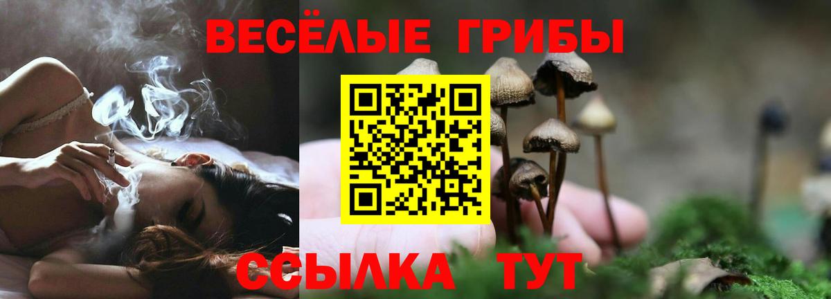 Галлюциногенные грибы Psilocybe Арзамас